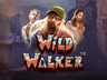 Wild Walker ícone