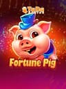 FortunePig ícone